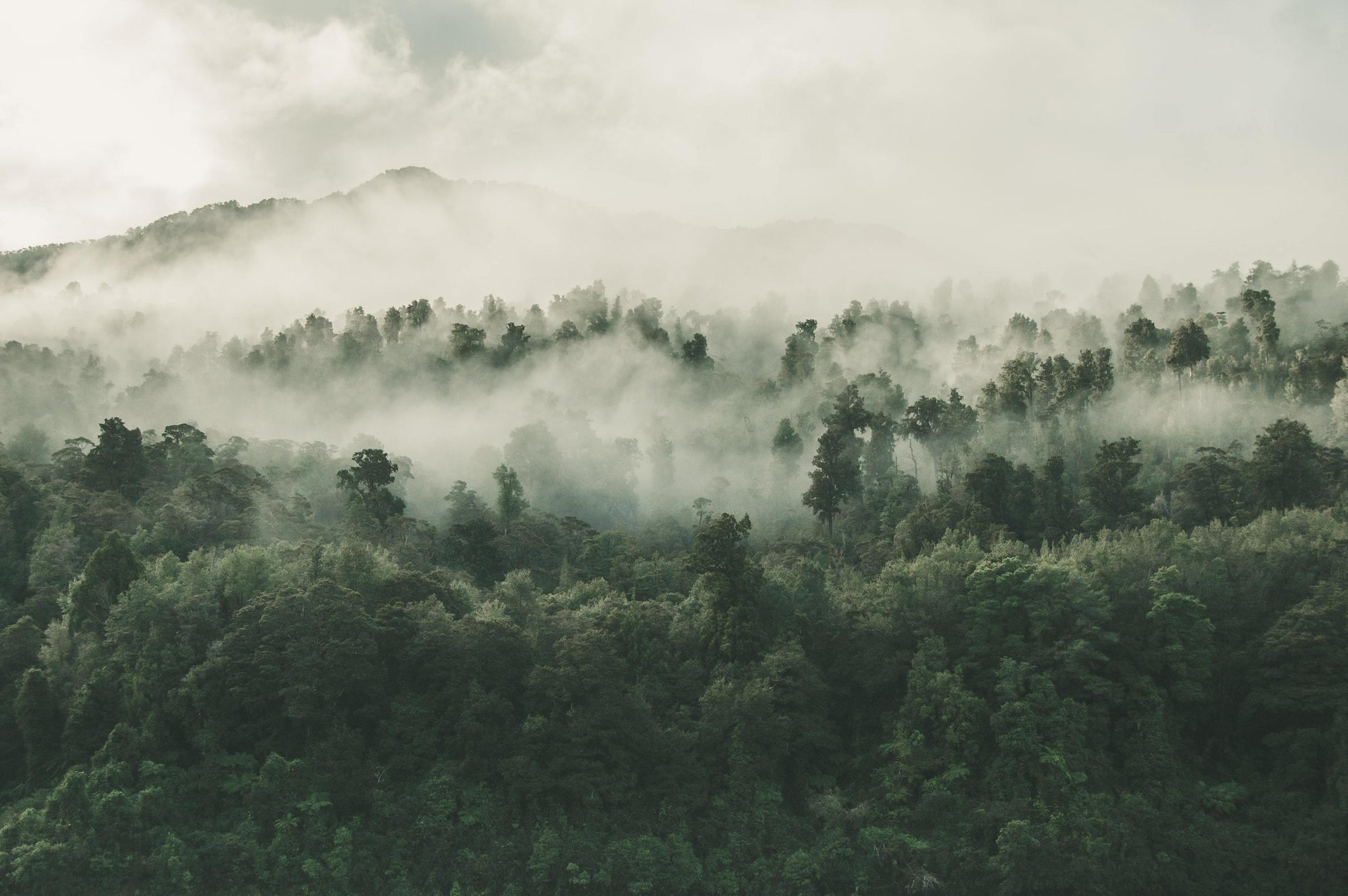 Sustainability
