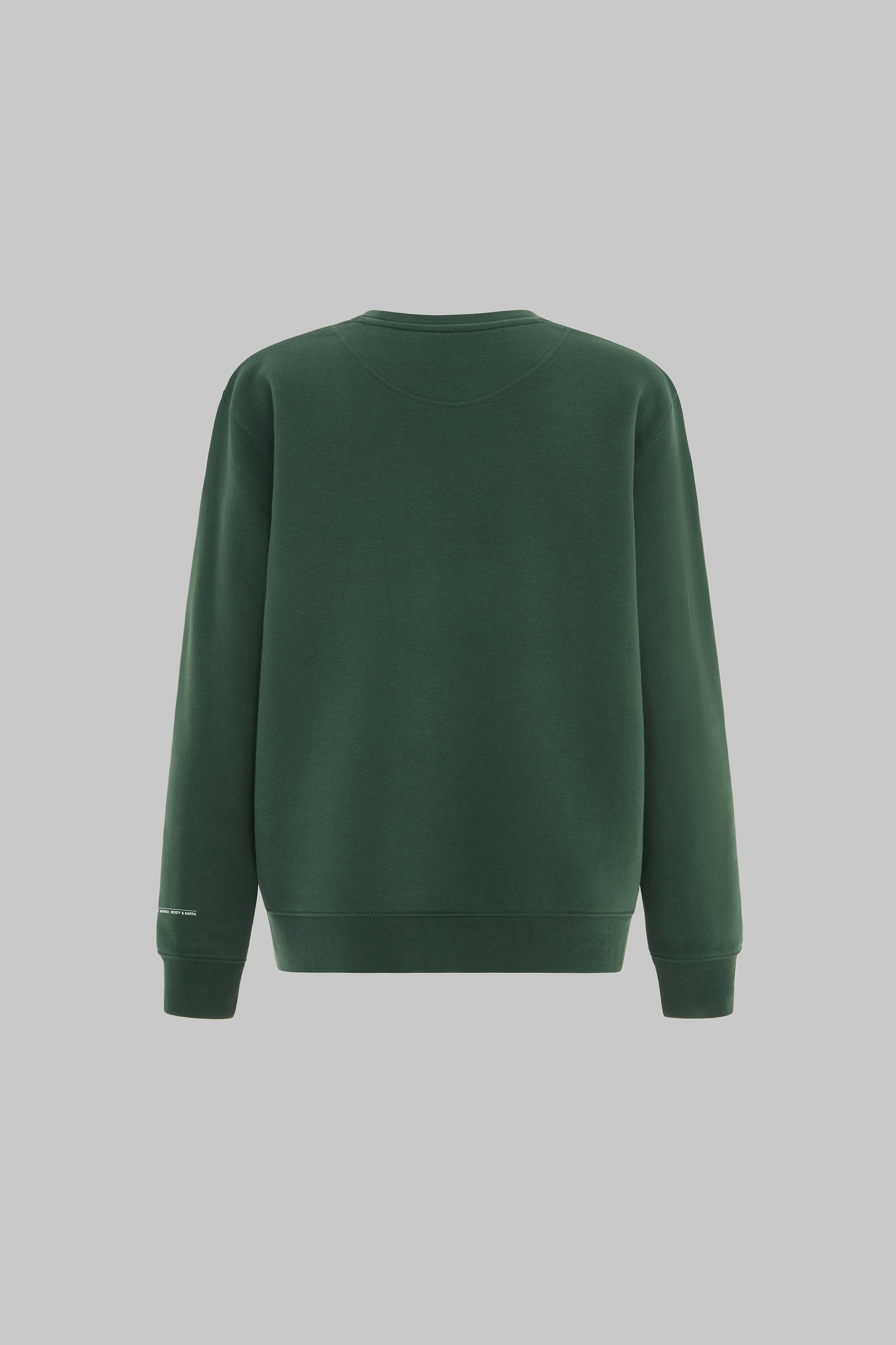 Sweatshirt body 2025